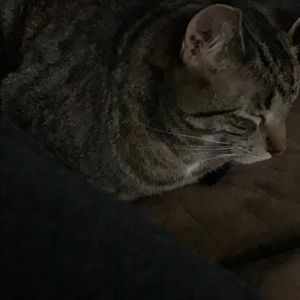 Meet your Posher, Dee